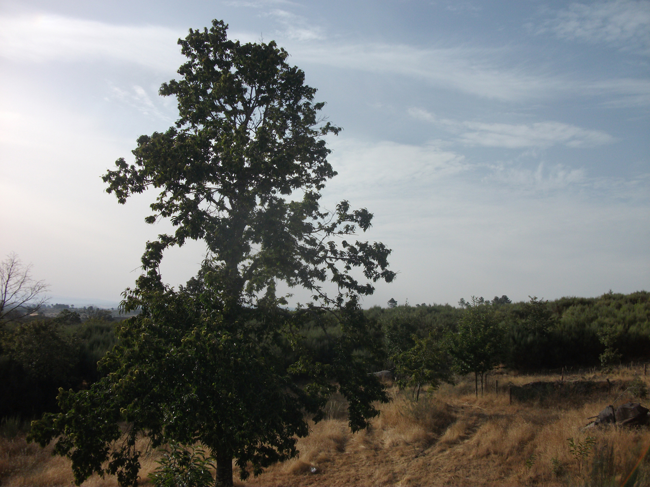 Exterior - Vista Frontal